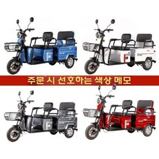 삼륜 스쿠터 전동스쿠터 어르신 전기 전동차 세발 3륜 오토바이, 48V디럭스12A납산/600W