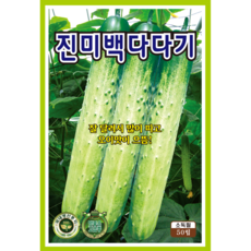 채소야채 씨앗 모음 당근 고추 오이 여주 부추 시금치 수세미, 2개