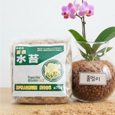 [풀멍상점] 호접란 서양란 필수 품질보증 수태 깨끗한 고급 수태 75G, 1개