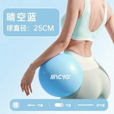 麗佳 居家訓練普拉提小球 盆底肌訓練 健身球 產後修復 瑜伽滾背球 按摩球, 晴空藍【25cm】氣塞+氣拔+吹氣管, 1個