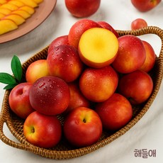 [해들애] 신선복숭아 고당도 복숭아 과즙가득 프리미엄 복숭아 한정 과일 산지직송, 1박스, 중소과 1kg
