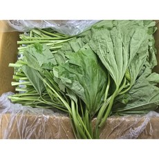 생 아욱 국내산 제철나물 신선한 아욱나물, 1박스, 1kg