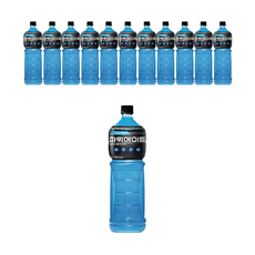 파워에이드 마운틴블라스트 1.5L 12개