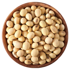 大台南五穀糧倉 加拿大非基因改造黃豆 600g (1斤) - DG黃豆 豆漿 黃豆粉, 1個