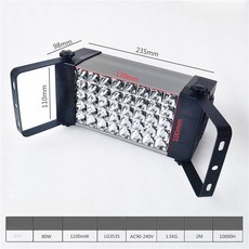 UV 경화기 조사기 레진 코팅 램프 네일아트 자외선 40비즈 80W(395nm), 100-300W, 고강도 40 80W 395nm 235x110, 기본 색상