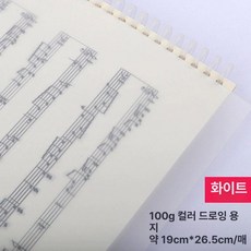 컬러 트레이싱지 트레싱지 용지 다꾸 스크랩북 공예, 1개, 16K 100g 화이트 20장