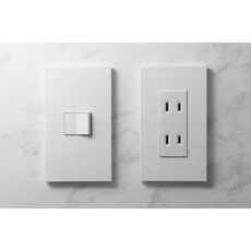 國際牌 SO-STYLE系列 二孔消光霧面蓋板 埋入式螢光開關 單切三路兩用 WNSF6102 WNSF5052 原廠出貨 拆封無法退貨, 1個, 霧白,110V-灰色