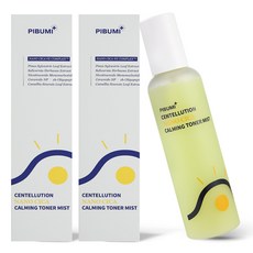 피부미 나노시카 수분 보습 물광 미스트, 2개, 200ml