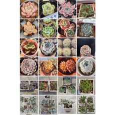 溫和配方清潔劑 有效去污 保護衣物纖維 友善環境, 1個