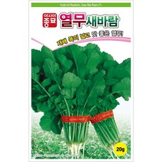아시아종묘 열무 새바람 씨앗 20g, 3개