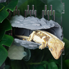 테라돔 도마뱀사육장 안식처 은신처 암석