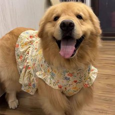 全店折扣 金毛薩摩耶拉布拉多阿拉斯加薩摩大狗狗衣服大型犬公主裙夏季薄款, 小裙子（春暖花開）,3XL（建議40.0-50.0公斤）, 1個