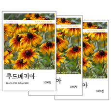 루드베키아 씨앗 1000립, 3개