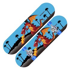 스케이트 보드 입문자 초보자 짧은 숏 연습용, D