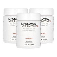 코드에이지 리포조말 엘 카르니틴 카르티닌 90캡슐 3개 리포좀 Carnitine, 90정