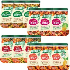 새미네부엌 양념 12종세트(오이소박이3+겉절이3+부추파김치3+깍두기3), 1개