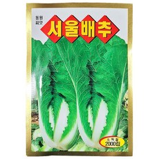 영농사 서울배추 씨앗 2000립 조선배추 얼갈이 배추씨 종자 엇갈이 동원종묘, 1개