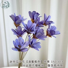 大好屋 迷你瓜子花 乾燥花束, 迷你瓜子花【淺葡萄色】 大束