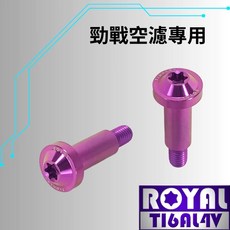 ROYAL 勁戰1-3代 鈦合金空濾外蓋螺絲 M5*25F 64鈦 皇家紫, 1個