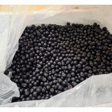 [국내산] 냉동 ##꼭지없음## 아로니아 아로니아즙 냉동아로니아, 1개, 2.5kg