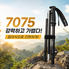 EcoStep 가볍고 강한 접이식 등산스틱, 블랙, 1개