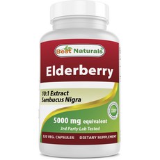 Best Naturals 接骨木莓植物膠囊, 120顆, 1罐