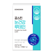 공스킨 눈건강 루테인 100mg, 1개, 10정
