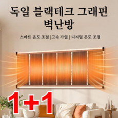 1/1+1독일 블랙테크 그래핀 벽난방 벽걸이 히터 스마트 온도 조절/고속 가열/디지털 온도 조절, 50x50cm*2개, 50x50cm*2개