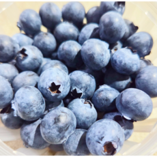 [백화점납품] 새벽경매로 가장 신선한 국내산 생블루베리 생과, 1박스, 300g