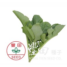 【野菜部屋~】H33 素雲雪裡紅芥菜種子 中包裝 風味特佳 辣味較濃, 1包