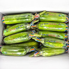 클릭마켓 국내산 못난이 애호박 20개입 하품, 20개, 250g