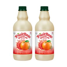 복음자리 자몽 베이스 1.8kg 2개세트, 2개