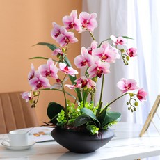 대형 호접란 조화 세트 거실 장식 화분 인테리어 서양란 인공 꽃꽂이 장 5개 세트 화이트 그릇 포함