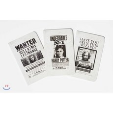 Harry Potter: Wanted Posters Pocket Notebook Collection (Set of 3), Insights