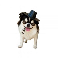 한국 전통 강아지 개트 모자 - 소형 및 중형견 고양이를 위한 반려동물 코스튬 모자 11.4cm(4.7인치) 챙 조절 가능한 스트랩 할로윈 의상 블랙, 한국 전통 강아지 개트 모자 - 소형 및 중형견 및 고