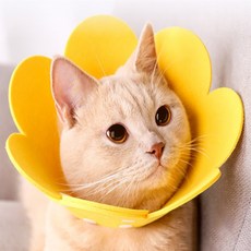 아리포유 부직포 넥카라 고양이중성화넥카라, 핑크 M