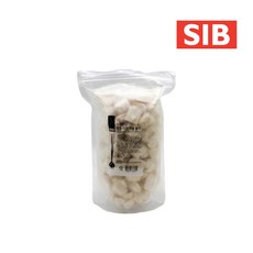 선인 냉동 다진마늘블럭 1kg, 1개