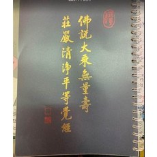 佛說大乘無量壽莊嚴清淨平等覺經, 佛說大乘無量壽莊嚴清淨平等覺經皮革大字