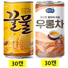 웅진꿀물캔 + 참맑은우롱차캔, 60개, 175ml