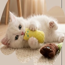 좋은물건연구소 고양이 치발기 고양이치아관리, 그린