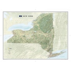 National GeoGRAPHIC 그래픽 NEW YORK 뉴욕 Wall Map (40.5 x 30.25 in) (National Reference Map) 159904, National GeoGRAPHIC 그래픽 NEW YO