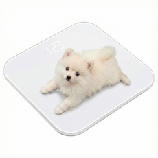 베이비테일 반려동물 체중계 강아지 고양이 소수점 측정, 1개, 클린 화이트, LED 디지털 미니 체중계