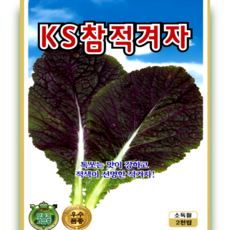 KS참 적겨자 씨앗 선명한 적색 특유의 매운맛 월동 가능 겨자채소 2000립 ks, 1개