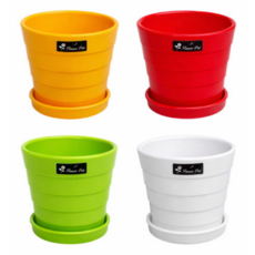 튼튼한 다육이 화분 식목일 꽃 화분 어린이집 유치원, 4.흰색, 1개