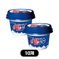 해태 통팥 아이스크림 찐 팥빙수, 10개, 250ml