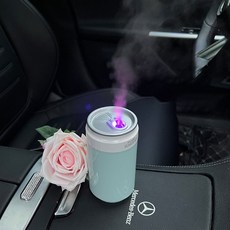 PYHO 캔 미니 무선 휴대용 차량용 가습기, 민트