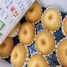 [부자농산] 프리미엄 신고배 설날 명절 선물 세트 7.5KG 11-13과, 1세트