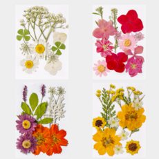 압화 4종 세트 드라이 플라워 프리저브드 천연꽃 누름꽃 종합팩 책갈피 폰케이스 다이어리 꾸미기, A세트