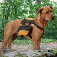 반려견 가방하네스 강아지배낭