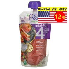Plum Organics 12개월 이상 유아용 다양한 과일 곡물 혼합 퓨레 이유식 113g 6개, 12개